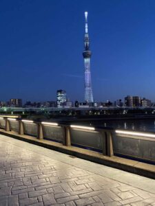 向島桜橋