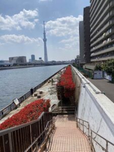 隅田公園