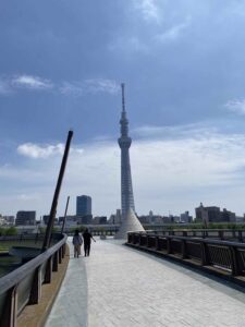桜橋