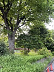 公園